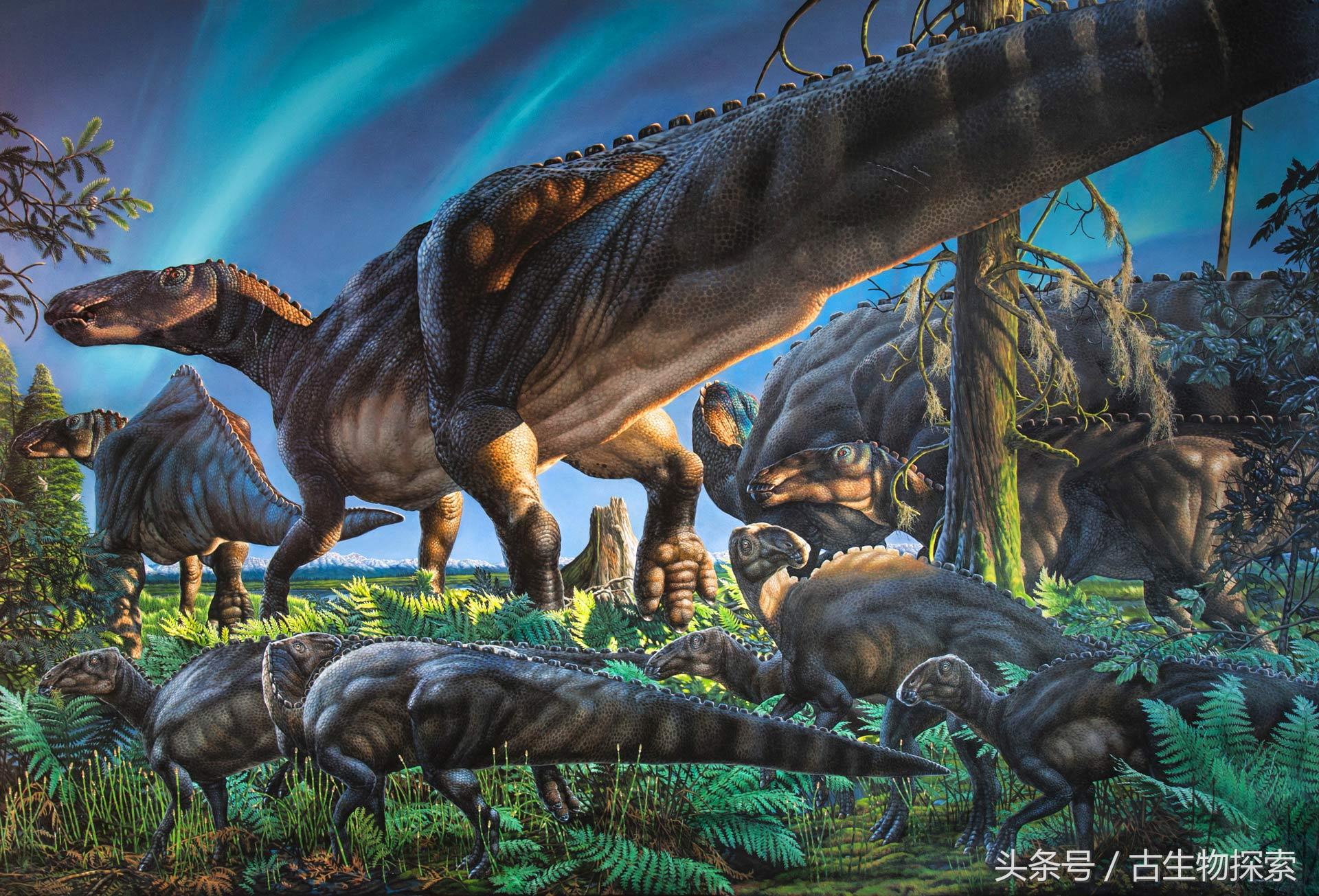 恐龙白垩纪侏罗纪_白垩纪恐龙_恐龙白垩纪视频