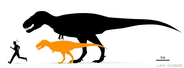 白垩纪恐龙_恐龙白垩纪侏罗纪_恐龙白垩纪视频